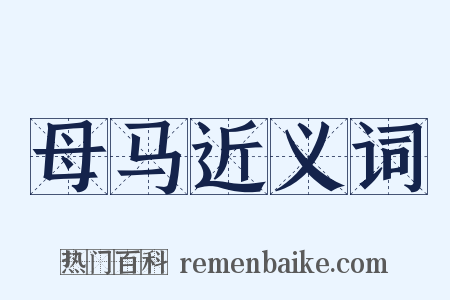 母马近义词是什么意思的图片
